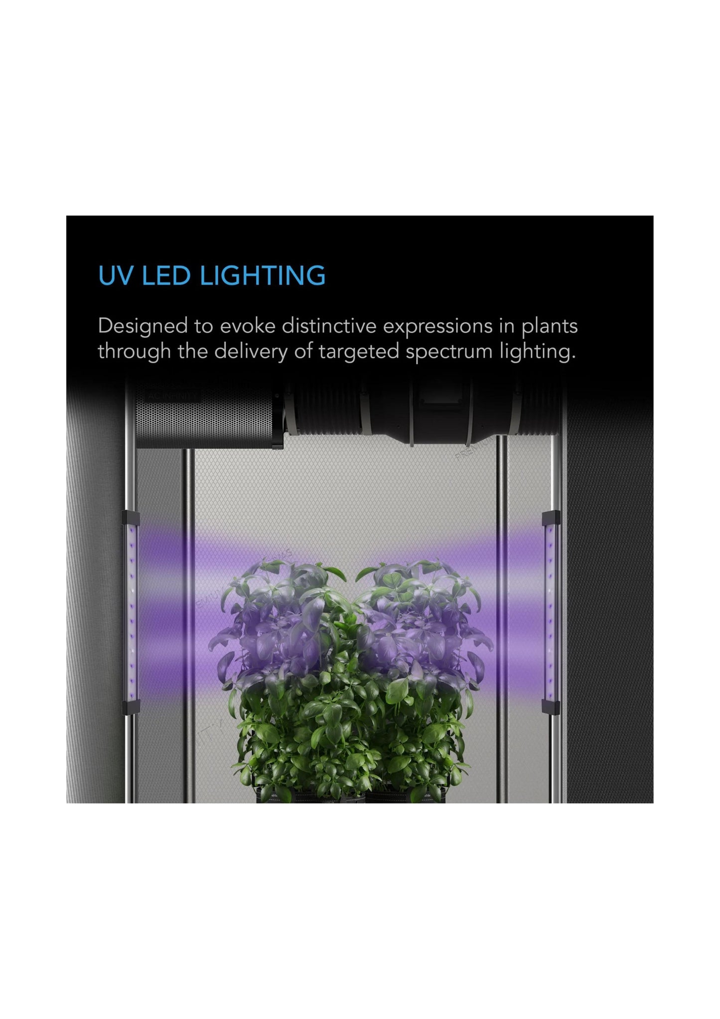 Ionbeam UV-LED-Wachstumslichtleisten