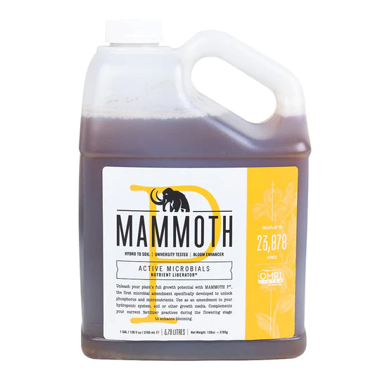 Mammoth P