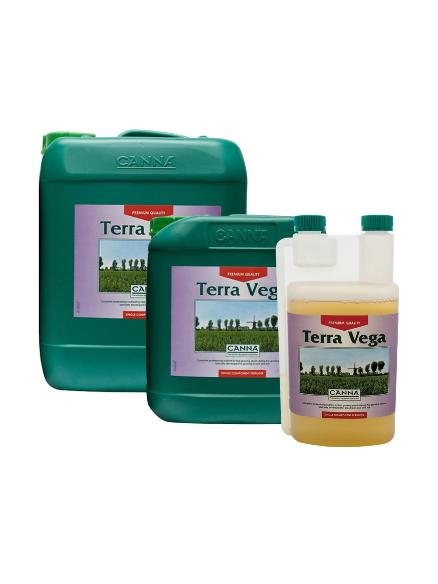 Canna Terra Vega