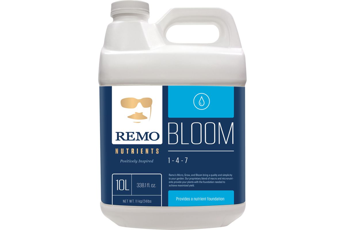 Remo Bloom